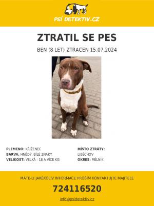 Psí detektiv 1